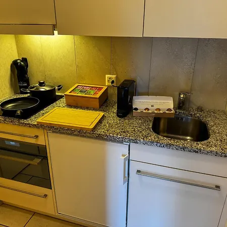 Zentrale Gelegene Gemuetliche In Arosa