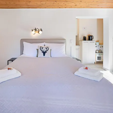 Bergstudio I I I Berg I *